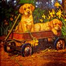144 Dogs - 3-ply - Art in Motion 2001